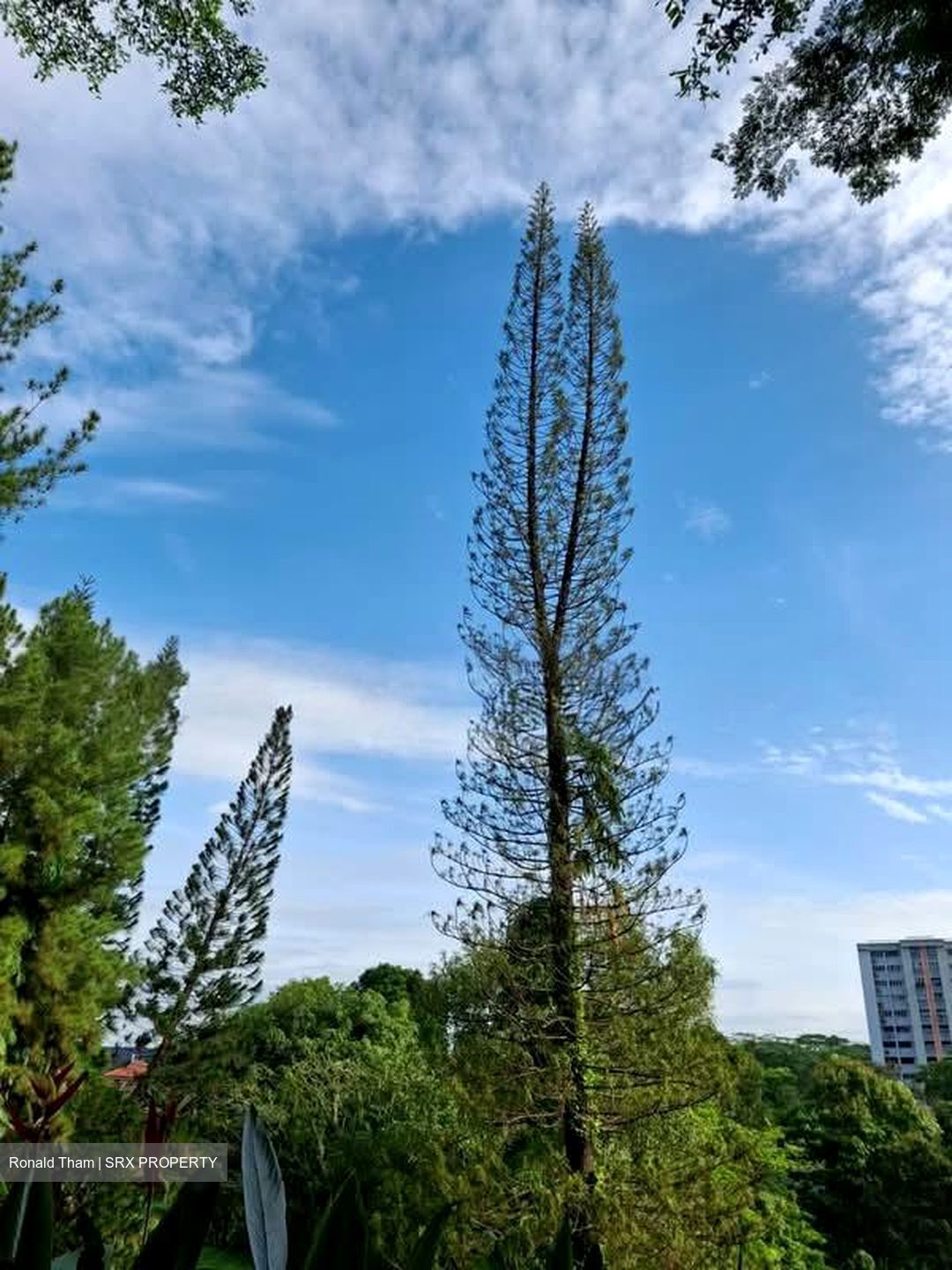 Blk 307 Clementi Meadows (Clementi), HDB 3 Rooms #575904891